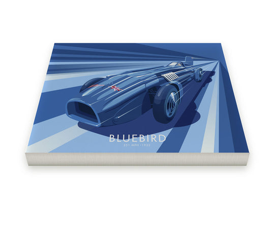 Bluebird Canvas