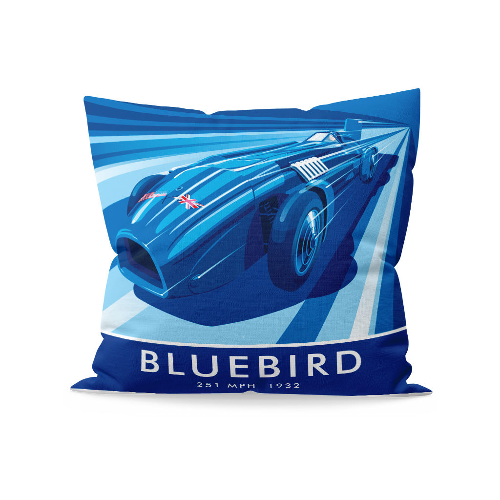 Bluebird Cushion