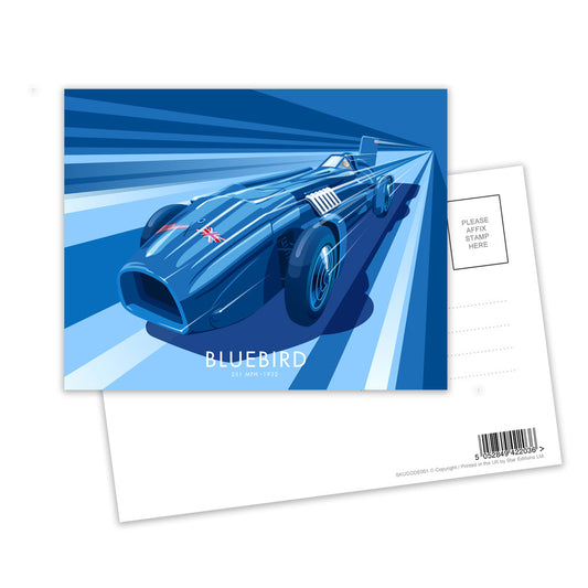 Bluebird Postcard Pack of 8