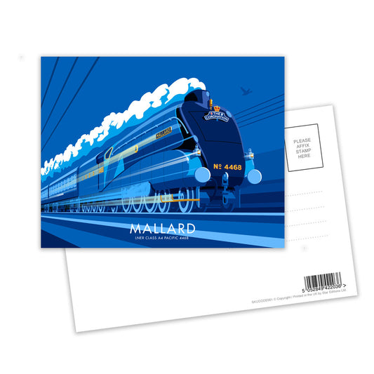 Mallard Postcard Pack of 8