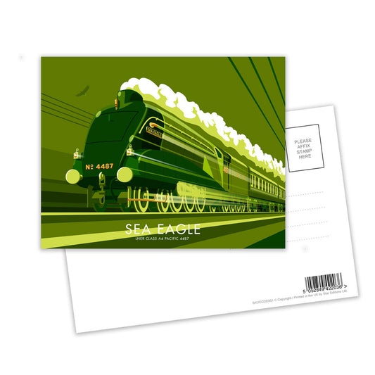 Sea Eagle Postcard Pack of 8