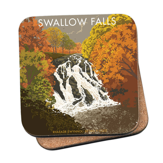 Swallow Falls Coaster